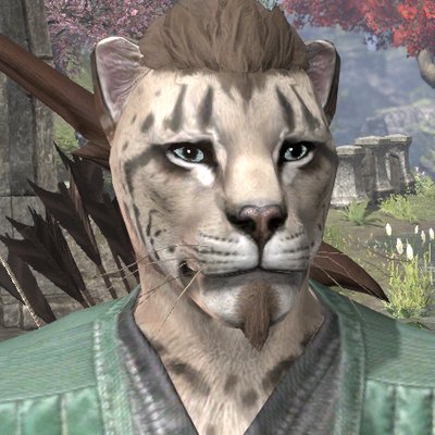 もぐさん Eso Dtmer Mogusan Twitter もぐさん Eso Dtmer Mogusan Twitter