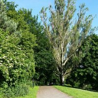 Friends of Ruskin Park (@ruskinwalkley) 's Twitter Profile