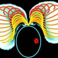 Kirsty Wan 🔬 (@micromotility) 's Twitter Profile