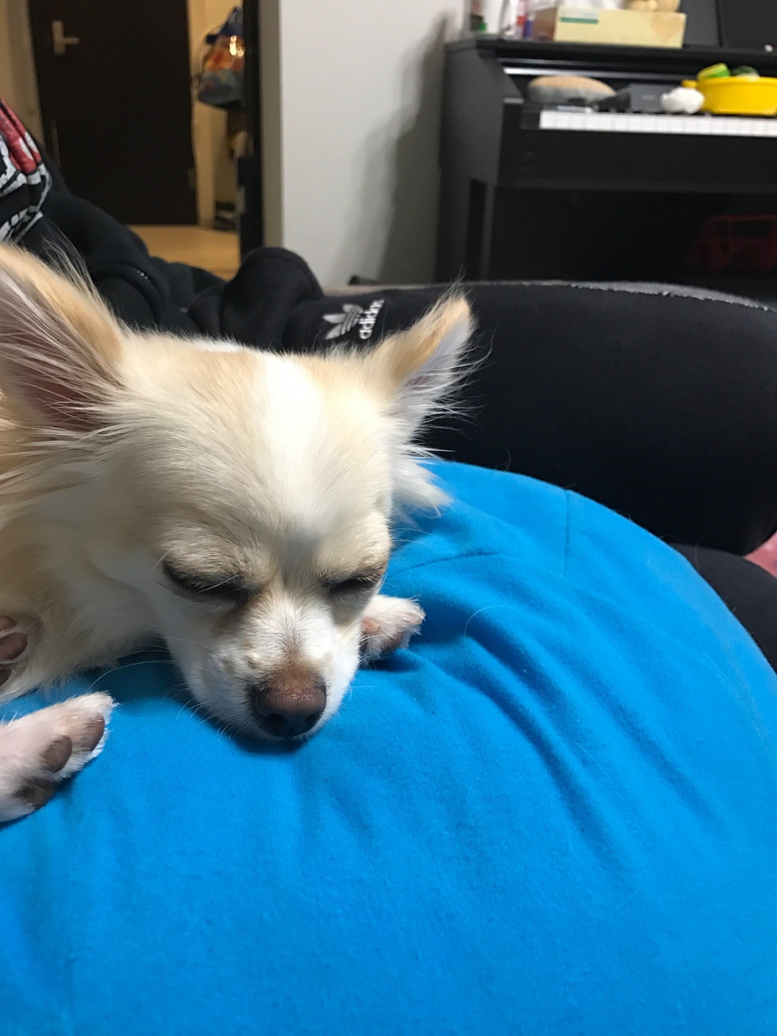 ハルさんのプロフィール画像