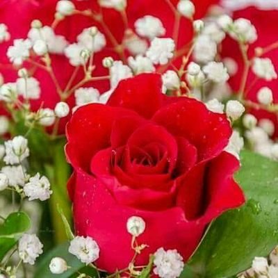 mohamed21880266's profile picture. 