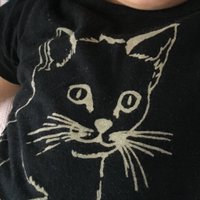 紋代磁 (@tipoguiter) 's Twitter Profile