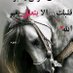 وضحى (@untcho8r5wvl1cq) Twitter profile photo وضحى (@untcho8r5wvl1cq) Twitter profile photo