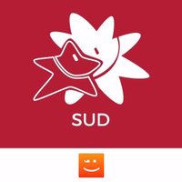 Iniciativa Compromís Sud(@iniciativapvsur) 's Twitter Profile Photo