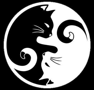 TwStalker - Twitter Search Web Viewer