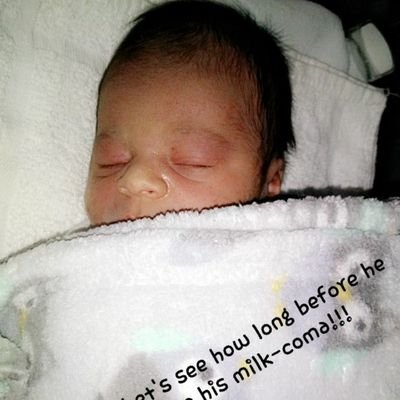 FXavierAlcala's profile picture. I love WWE, BATMAN and GAMING !!!
I'm an Full time Ambrose Asylum employee and part time #beatupjohncena employee!