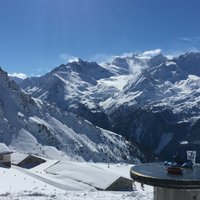 Matthew Collis (@collisbunker) 's Twitter Profile