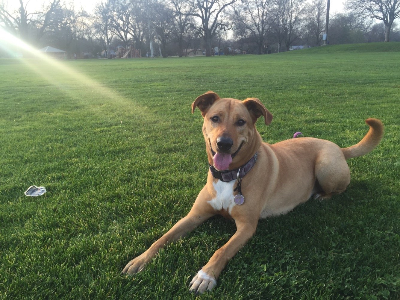 KubanTiffany's profile picture. 