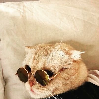 Haniefa5's profile picture. bad vibes 💪🔮