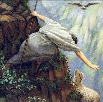 mision_socorro's profile picture. Tiene derecho a criticar quien tiene corazón para ayudar”