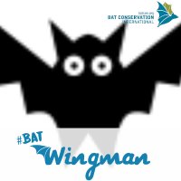 Lizzie Platt (@henlakebats) 's Twitter Profile Photo Lizzie Platt (@henlakebats) 's Twitter Profile Photo