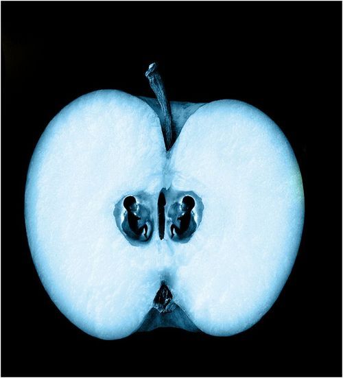 AIWS's profile picture. 