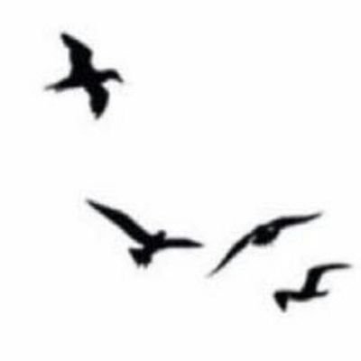 RAYID_ALBDRANI's profile picture. 