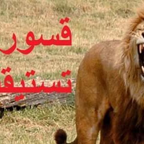 metoahmed064's profile picture. 🤣😄😃😘😍🤑🤓🧐