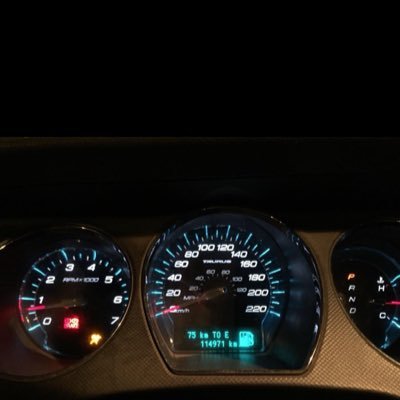 OWl32GDOc7MTvxV's profile picture. 