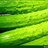 cucumber_52's profile image