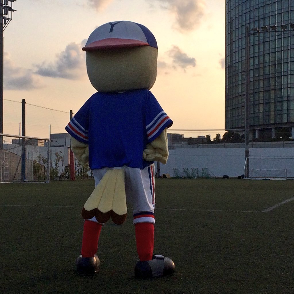 tricolorelife09's profile picture. マリノス⚽️ベイスターズ⚾️ビーコル🏀が好き。人見知りなので知っている人しかフォローしません。あしからず。 すべて個人の意見であり、番組とは一切関係ありません。