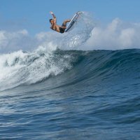 HSA Maui (@hsamaui) 's Twitter Profile