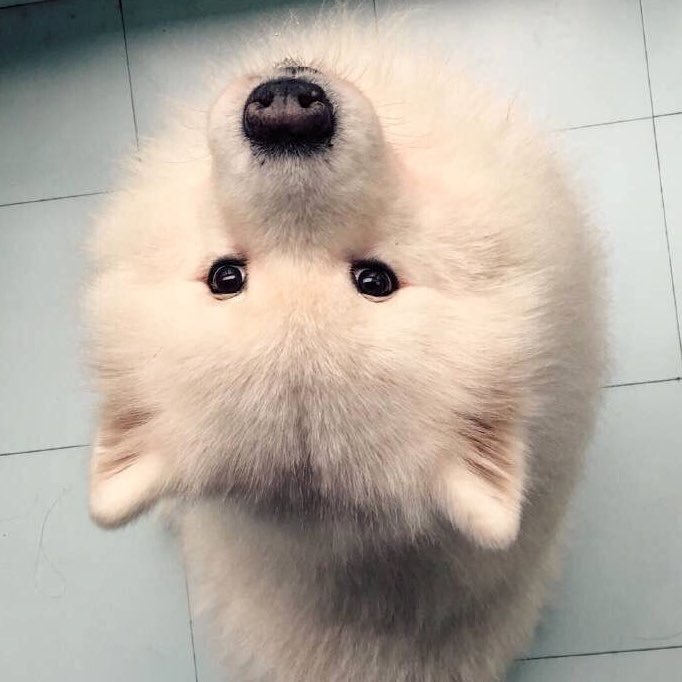 Haruko1623's profile picture. 