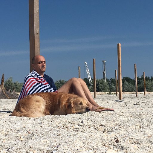 dan99896358's profile picture. 