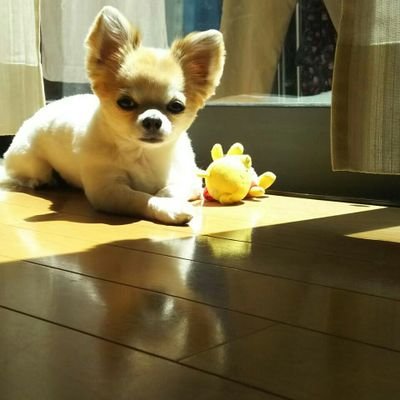 まなみさんのプロフィール画像