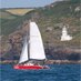 Marine_Discovery (@marine_discover) Twitter profile photo Marine_Discovery (@marine_discover) Twitter profile photo