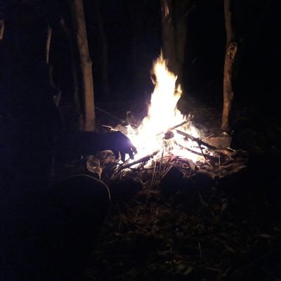 mrtoxicice's profile picture. my inner thoughts and ramblings noting more