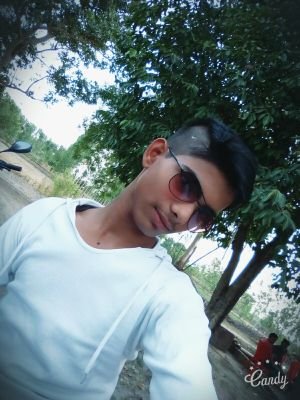 Hindi Music Indie & Electronic Music Entertainment Bollywood and Celebrities