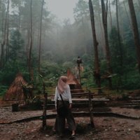 Ice Free (@aisfri) 's Twitter Profile