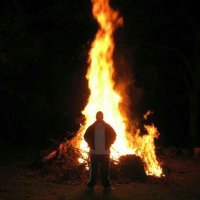 Duh'Bears (@wtf_bill) 's Twitter Profile