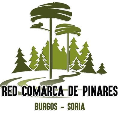 RED COMARCA DE PINARES. Conectadores de noticias relevantes de la comarca.