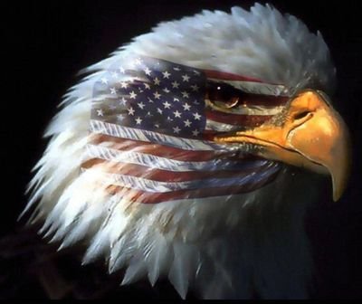 TrumpedYa's profile picture. 