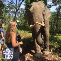Kaitlin Thulin (@kaitthulin) 's Twitter Profile