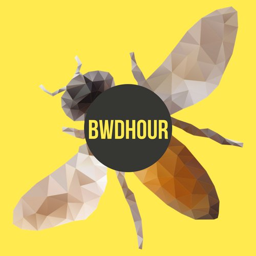 A buzzing networking hour covering #Blackburn & #Darwen, Use #BwDHour to get involved, Every Monday 8-9pm 🐝