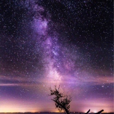 ThugTHC's profile picture. 