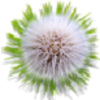 La Fleur Productions (@lafleurdelsur) 's Twitter Profile Photo La Fleur Productions (@lafleurdelsur) 's Twitter Profile Photo