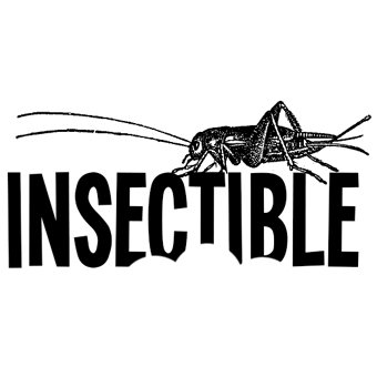 Edible insects