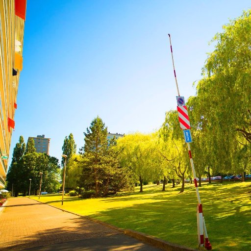 SchillerWalther's profile picture. Left Leaning Postmodernism Critic . Cover Scams in: Arts, Economics, Tech, Science, Politics. 
On the mysterious origin of beauty, love and rightness/justice .