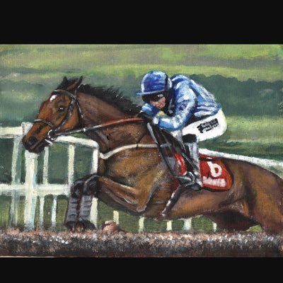 Professional Gambler, specialising in Irish National hunt. Own horses and have been fully reliant on gambling as a source of income for 15 years now.