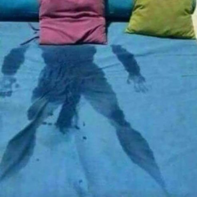 TheBeanBanger's profile picture. just a single man looking for his play princes partner in crime. I do have pictures and other social media. pics on request, as I like to stay anon from family.