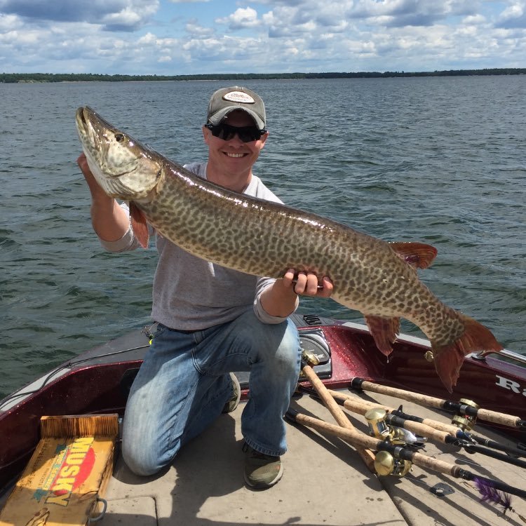 wachholdkn02's profile picture. 