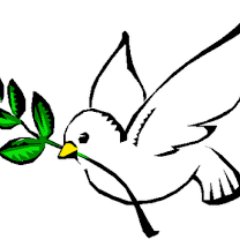 ceciolimac's profile picture. 