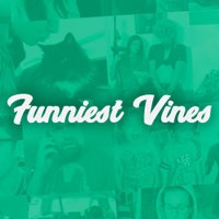 Funniest Vines (@funniestvines) 's Twitter Profile Photo Funniest Vines (@funniestvines) 's Twitter Profile Photo