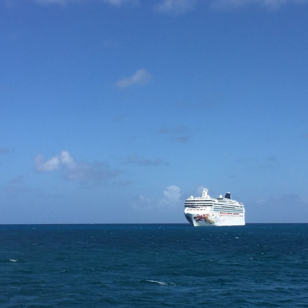 Bolianlianbo's profile picture. 