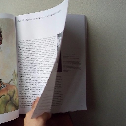 VanilaPeru's profile picture. Libros, papelería y planificación