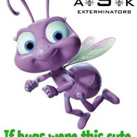 A.S.K Exterminators(@ASKExtermin8ors) 's Twitter Profile Photo