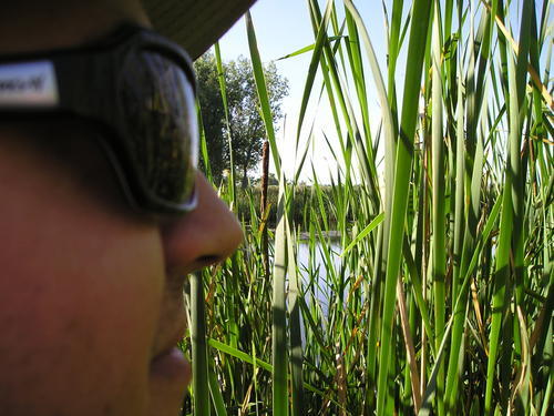 Twisted_Pine's profile picture. 