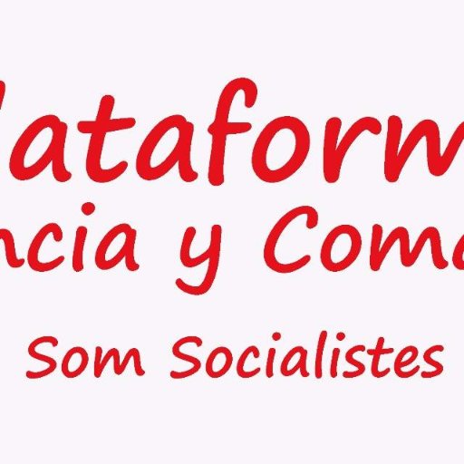 Plataforma Valencia y Comarca con Rafa García por votación en asamblea pasa a denominarse Plataforma de Apoyo a Rafa García,