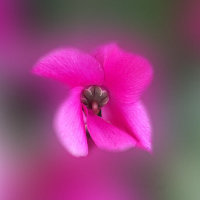 javabean123's profile picture. 