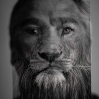 Andrew Nash (@armandyodel) 's Twitter Profile